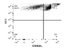 Working CD62L Antibody from BioLegend