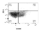 A Good CD80 Antibody from BioLegend
