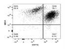 A Good CD11b Antibody from BioLegend