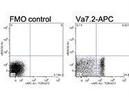Intermediately Bright Conjugate to Stain Human MAIT Cells