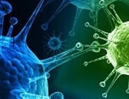 Tips & tricks for successful lentiviral transduction