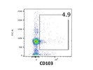 Easy-to-Use CD103 Antibody from BD Biosciences