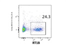 Easy-to-Use RT1B Antibody from BioLegend