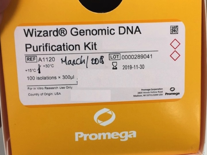 Isolation of Genomic DNA from GramNegative Bacteria