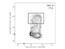Great Anti-Mouse NK-1.1 Antibody