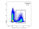 Great Anti-Mouse TCR ß Chain Antibody