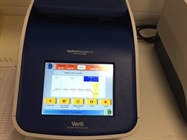 Amplification of DNA Inserts by Polymerase Chain Reaction (PCR)