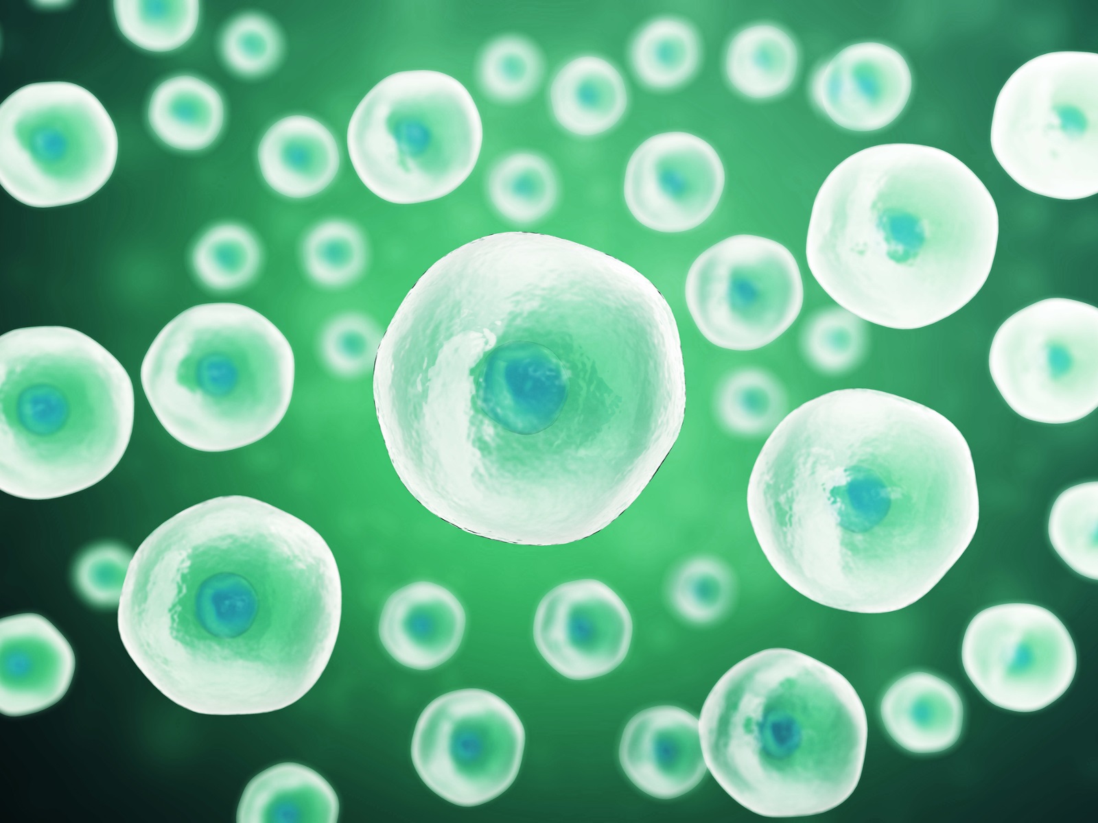 Immunotherapy Augmented Reality Game