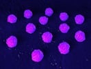 Taming Stem Cell Culture with Xeno-Free and 3D