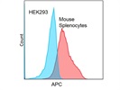 APC Anti-Mouse TCR Beta Chain (BioLegend) Detected TCR Expression in Isolated Mouse Splenocytes