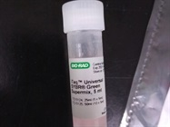 Real-Time PCR Reaction for Glioma Stem Cell cDNA