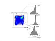 Great Anti-Mouse CD24-BV605 Antibody from BioLegend