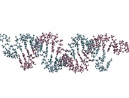 Transcriptome Analysis: Stretching Toward Longer Reads