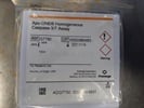 Detection of Apoptosis by Caspase 3/7 Assay Kit