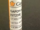Using GAPDH as a Reference Gene