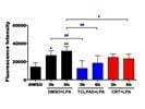 Changes in ROS Levels in Microglia Cells