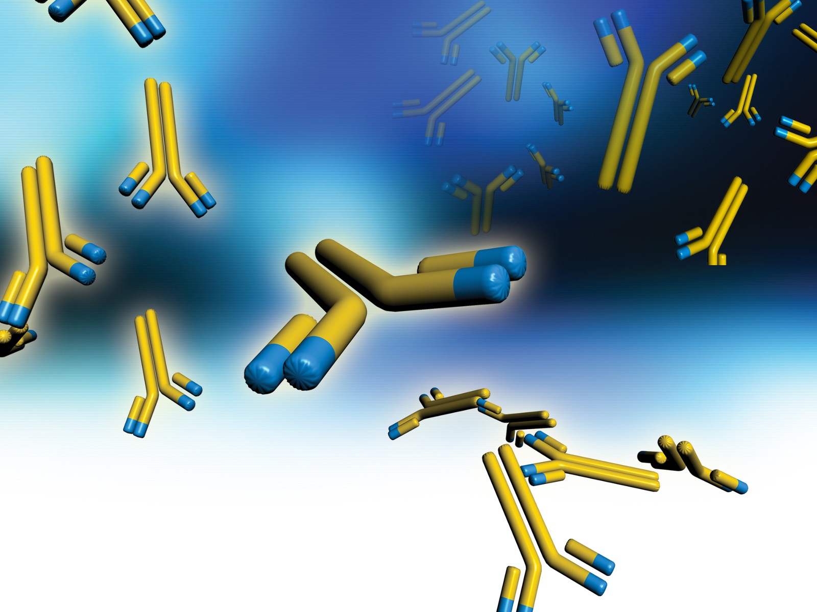  Comparing PD-L1 Antibody Clones
