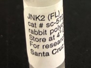 Activation of JNK2 by Infection with Mycobacterium