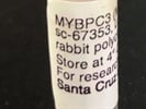 Expression of MYBPC3 in Disease Condition