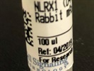 NLRX1 Expression in Primary Macrophage Cells