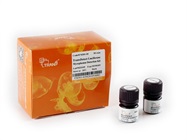 TransDetect®Luciferase Mycoplasma Detection Kit