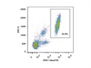 Staining Peripheral Blood with Anti-ARG1 Alexa700