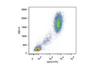 Staining Peripheral Blood with Anti-CD15 FITC