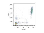 Staining Peripheral Blood with Anti-CD16 PE