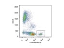 Staining Peripheral Blood with Anti-CD19 PE/Vio770