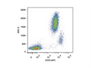 Staining Peripheral Blood with Anti-CD33 APC