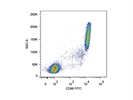 Staining Peripheral Blood with Anti-CD88 FITC