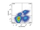 Staining Peripheral Blood with Anti-HLA-DR BV421