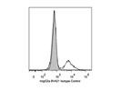 Staining Peripheral Blood with Mouse IgG2a BV421 Isotype Control