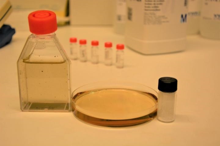 polyethylene degradation