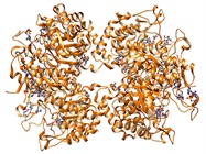Choosing the Right Protein Characterization Partner