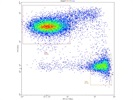 Great CD8a Antibody When Used at 1:400