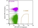 Clear Staining Detected with Flow Cytometry