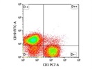 Good Antibody for Mouse CD3 Staining