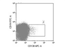 Good Flow Cytometry Antibody for Mouse CD138