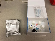Chicken IL-10 ELISA Kit Review