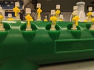 Great Vacuum Manifold to Facilitate Plasmid Purification