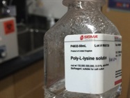 Poly-L-Lysine to Coat a Glass-Bottom Flask