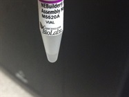 DNA Fragment Assembly
