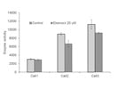 Works to Efficiently Block Fatty Acid Oxidation and Boost Catabolic Enzyme Activity
