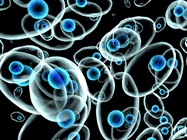 Evolving Tools for Accelerating 3D Cell Culture Workflows