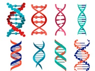 A Brief History of Gene Editing