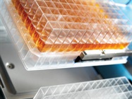 MultiScreen® HTS Filter Plates