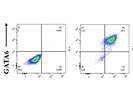 Flow Cytometry Antibody for GATA6 with PE Fluorofore
