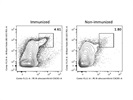 Repeatable CXCR5 PE Antibody for Identification of TFH Cells