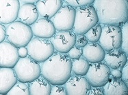 Top Tips for Freezing and Thawing Cells to Maintain Viability